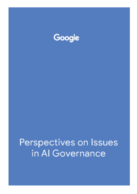 Perspectives on Issues in AI Governance Report